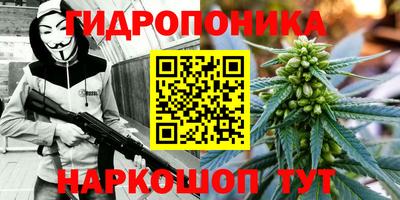 прущая мука Гатчина