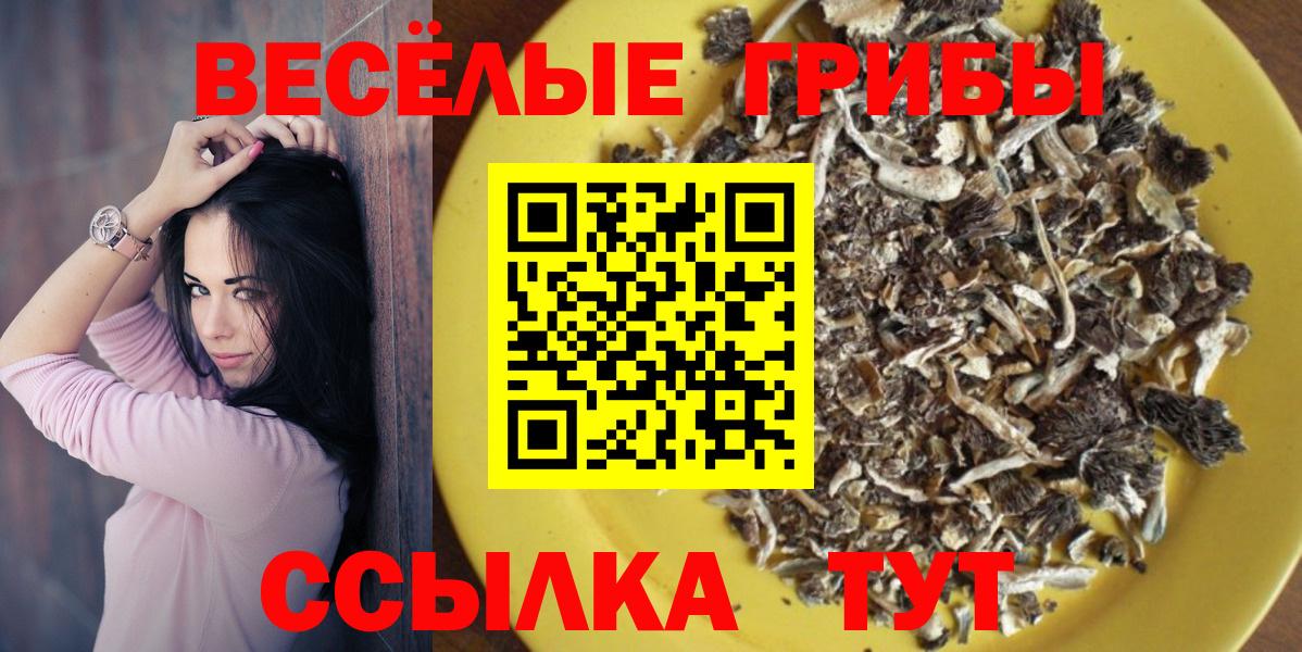 Нижнекамск  наркошоп  Вход с VPN  Галлюциногенные грибы мухоморы 