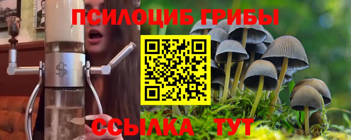Псилоцибиновые грибы MAGIC MUSHROOMS Нижнекамск