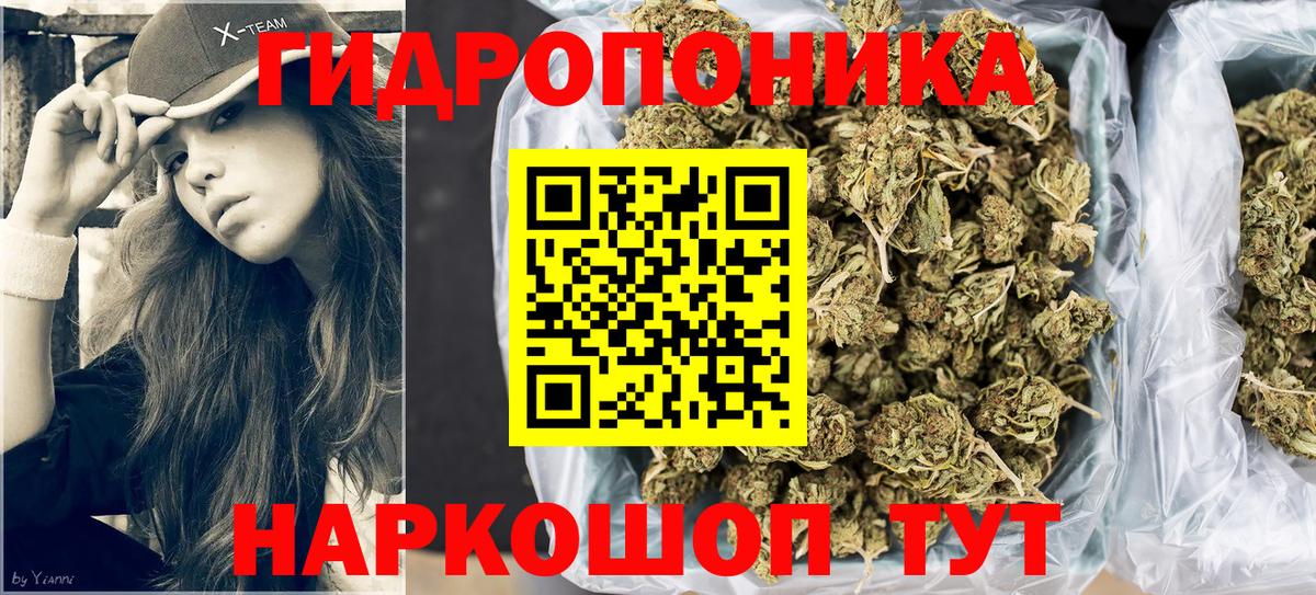 Бошки Шишки конопля Нижнекамск